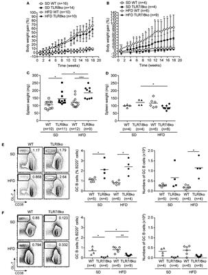 Lupus Autoimmunity and Metabolic Parameters Are Exacerbated Upon High Fat Diet-Induced Obesity Due to TLR7 Signaling